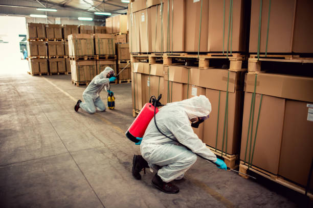 Best Best Pest Control Companies  in Berryville, AR