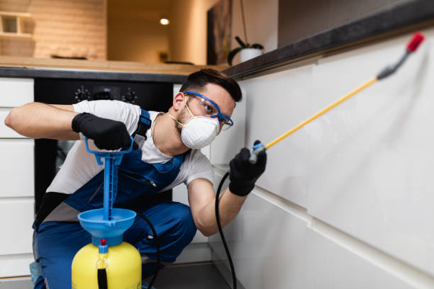 Best Pest Control Treatment  in Berryville, AR