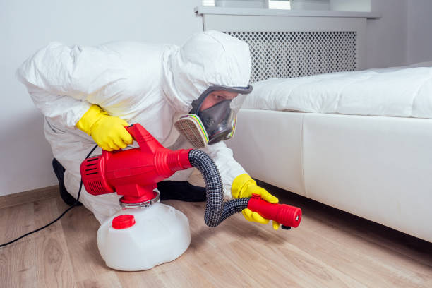 Best Wildlife Control Services  in Berryville, AR