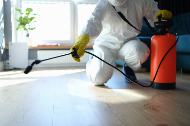 Trusted Berryville, AR Pest Control Experts