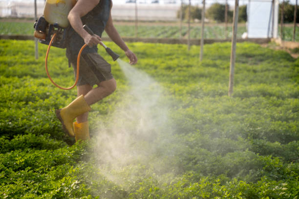 Best Pest Inspection Near Me  in Berryville, AR
