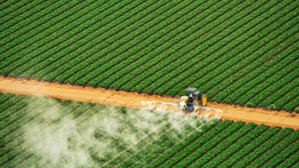 Best Pest Prevention Services  in Berryville, AR