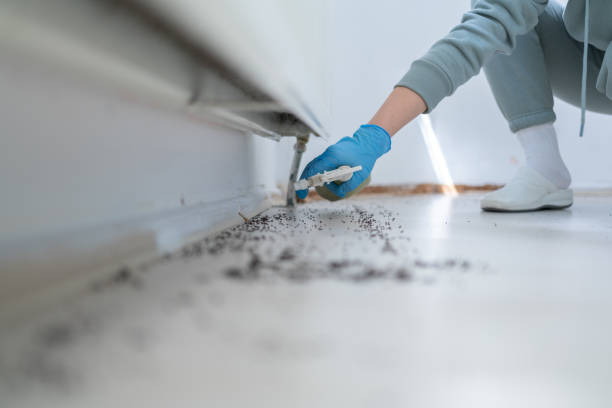 Best Best Pest Control Companies  in Berryville, AR