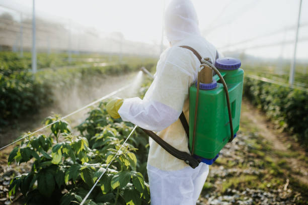  Berryville, AR Pest Control Pros